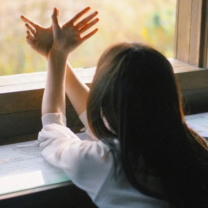 每个人的宝贝：杰西卡·麦克卢尔的救援